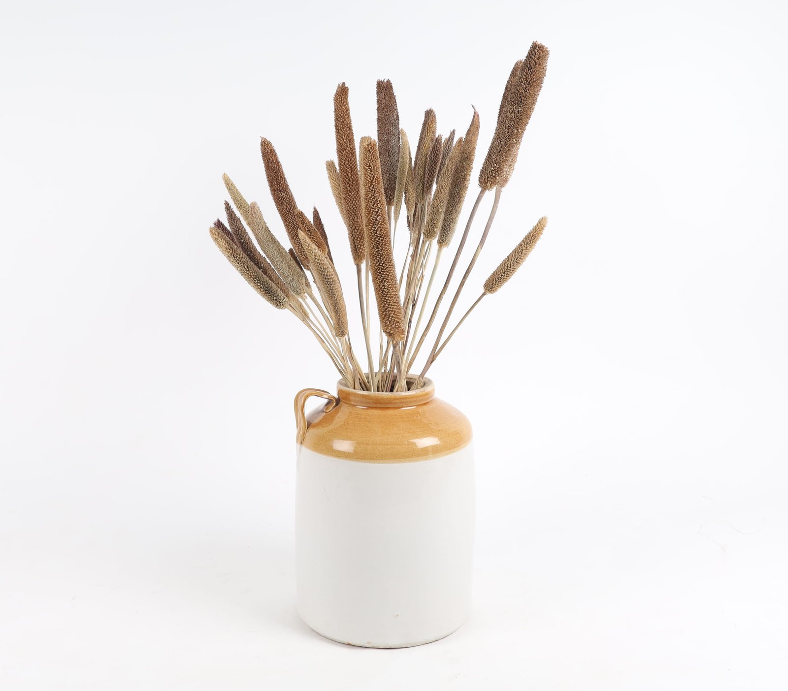 Dried Flower Babala (1)