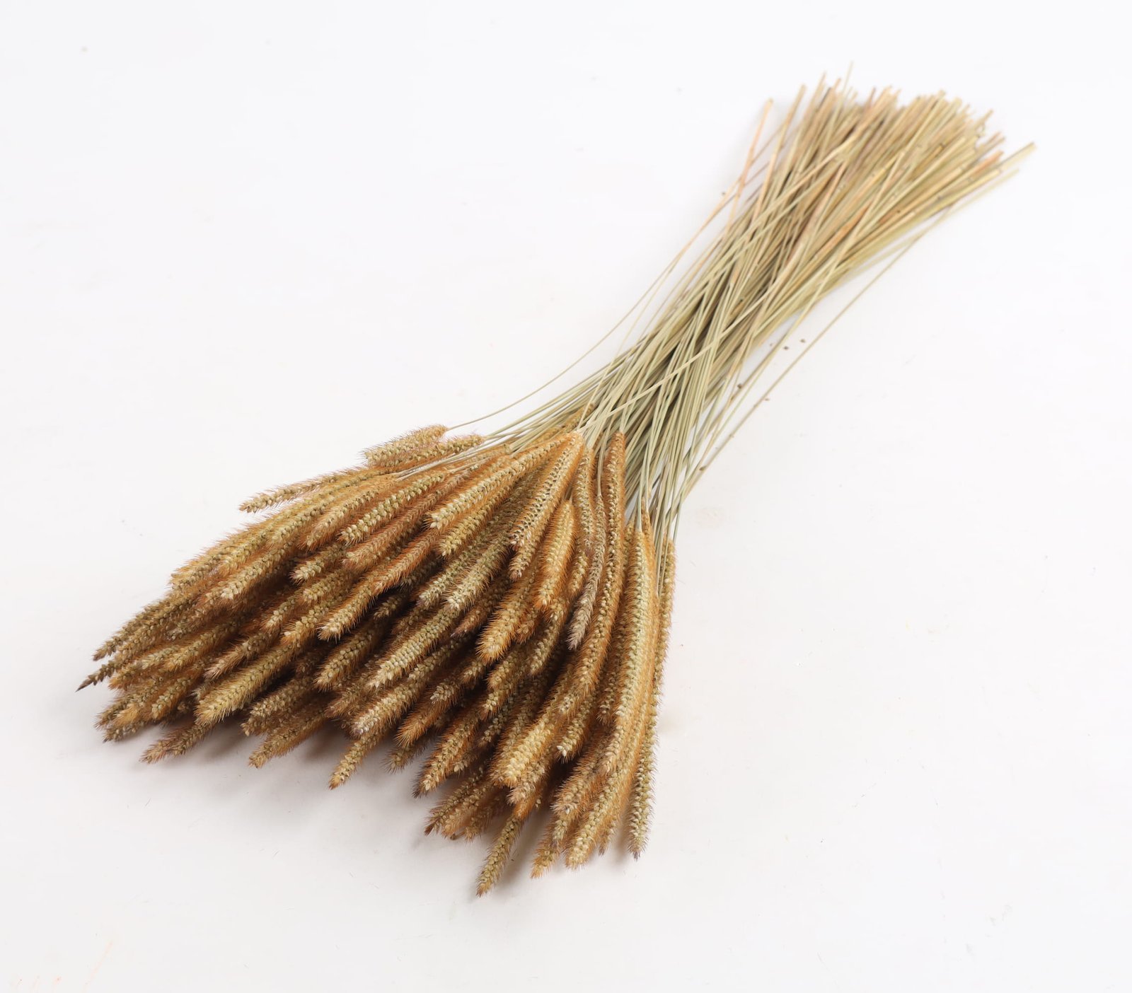 Dried Flowers Natural Grass Manipur (1)
