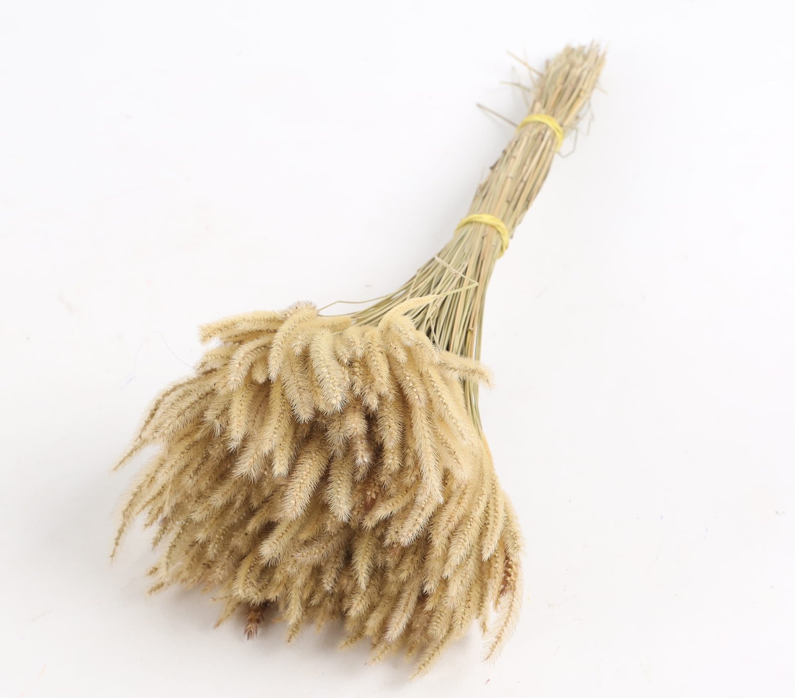 Mountain Dried Grass Natural Color (1)